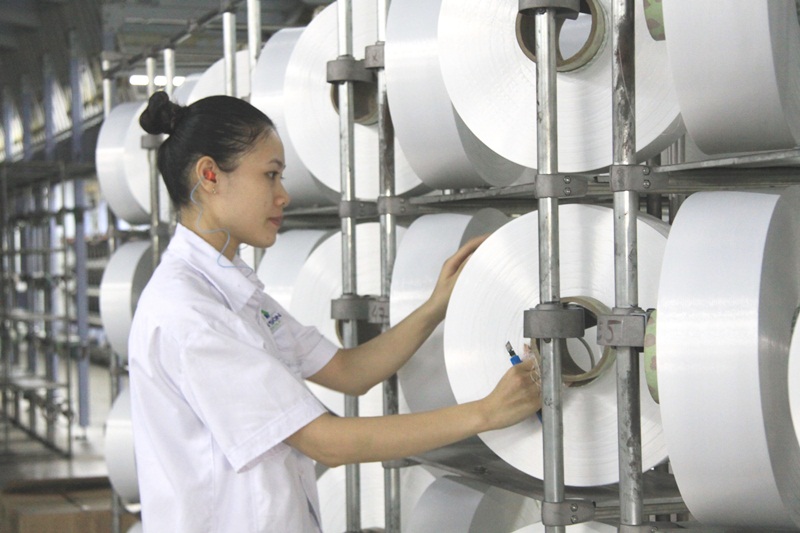 Chuyện 'giải cứu' PVTex: Đâu là sự thật khách quan?